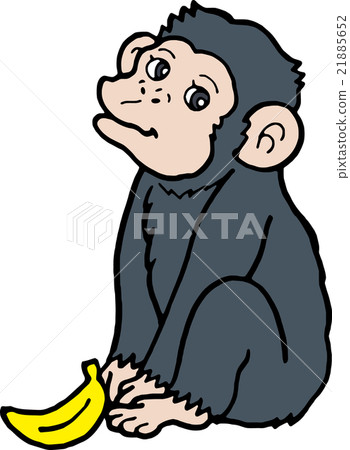 Wild animals Chimpanzee with no background 21885652