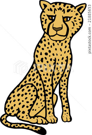 Wildlife cheetah Background None 21885653