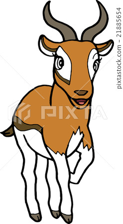 Wild animals Thomson gazelle No background 21885654