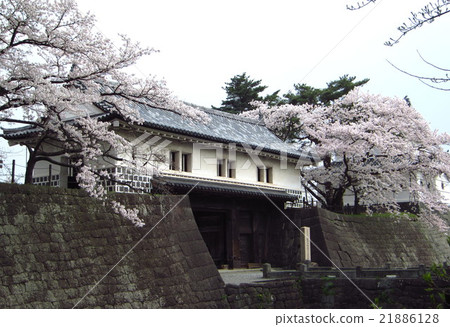 Shibata城堡的春天 Shibata城堡的春天 21886128