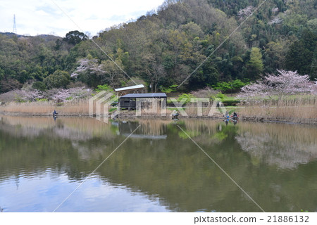 Izunokuni City, Shiroke Water Park 21886132