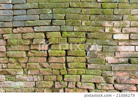 Brick wall 21886279