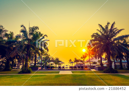 Beautiful Silhouette palm tree with umbrella and chair Beautiful Silhouette palm tree with umbrella and chair 21886452