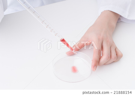 Women dealing with laboratory instruments 21888154