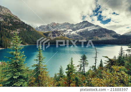 Yoho National Park 21888397