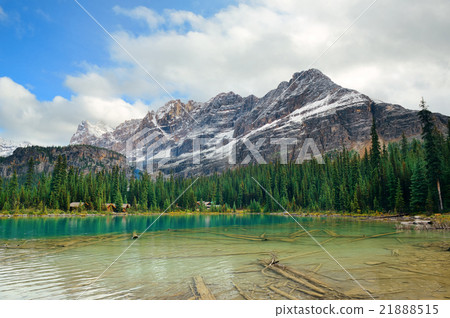 Yoho National Park 21888515