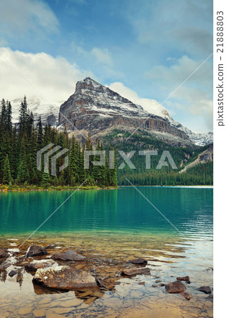Yoho National Park 21888803