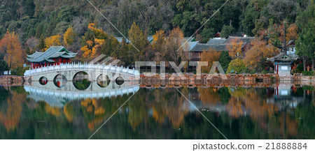 Black Dragon pool 21888884