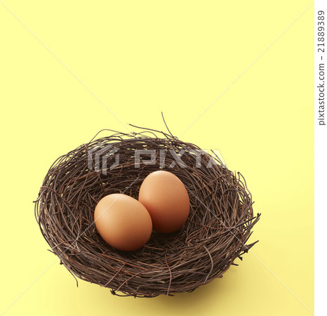 Eggs in the bird's nest 21889389