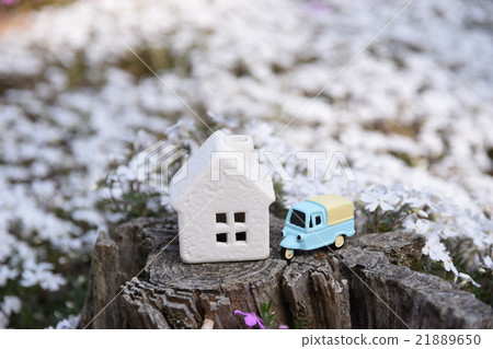sweet home 21889650