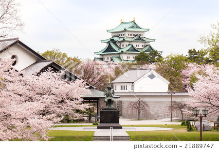 Kato Kiyomasa和名古屋城堡和櫻花 21889747