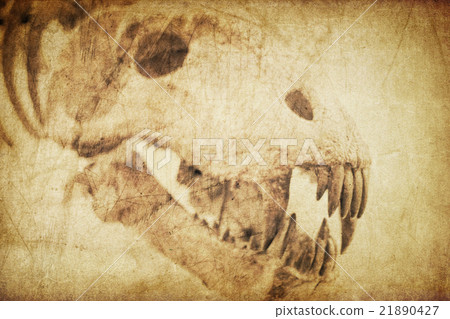 Spooky skull diabolical creatures. Vintage styled Spooky skull diabolical creatures. Vintage styled 21890427