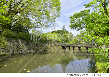 Castle of Hitoyoshi 21893153