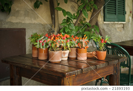 Some pots of red peppers on a wooden table in a co Some pots of red peppers on a wooden table in a co 21893193