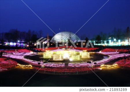 完全開花的走廊 完全開花的走廊 21893289