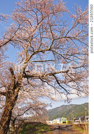 Takayama mainline spring 21893560