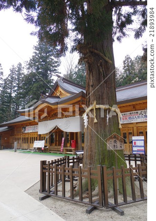 Shinshu Azumino Hinaka Shrine Worship Hall和Osugi Azumino古代海事創建的Azumi家族的旅游神社的中心存在 21893984