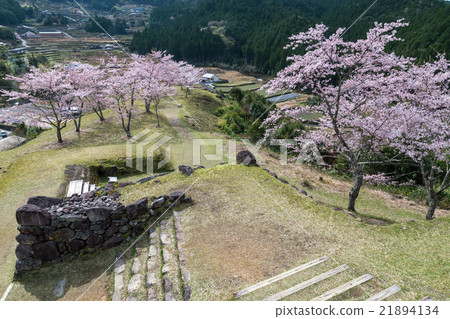 赤城城堡的春天遺址 赤城城堡的春天遺址 21894134