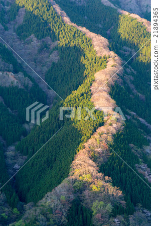 春天Normo山谷 春天Normo山谷 21894365