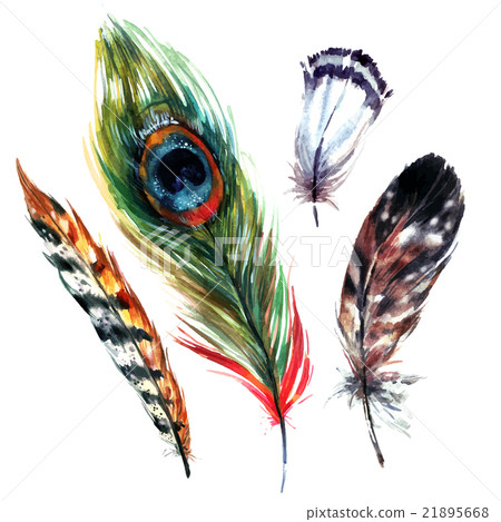 Watercolor Feathers Set - Stock Illustration [21895668] - PIXTA