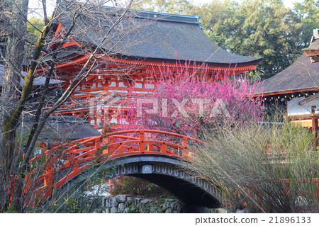 京都Shimogamo神社花園和紅月亮 21896133