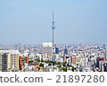 東京天空樹 21897280