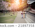 Japanese girls in kimono walking in sakura garden 21897358