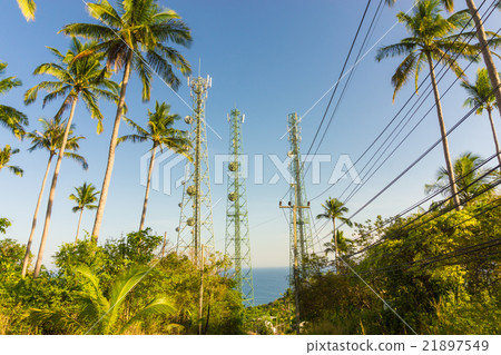 Coconut palms against blue sky background 21897549