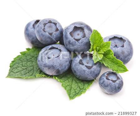 fresh blueberry and mint leaves isolated on white 21899327