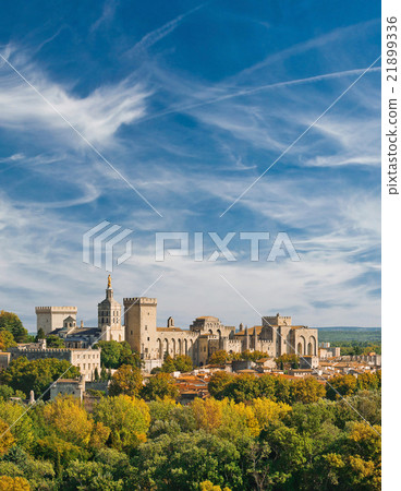 View of Papal palace in Avignon 21899336