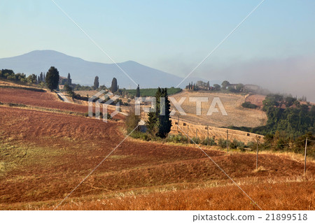 Tuscany, Italy 21899518