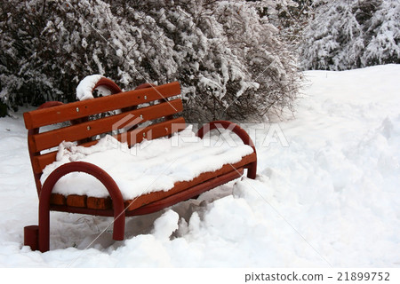 Bench in park 21899752