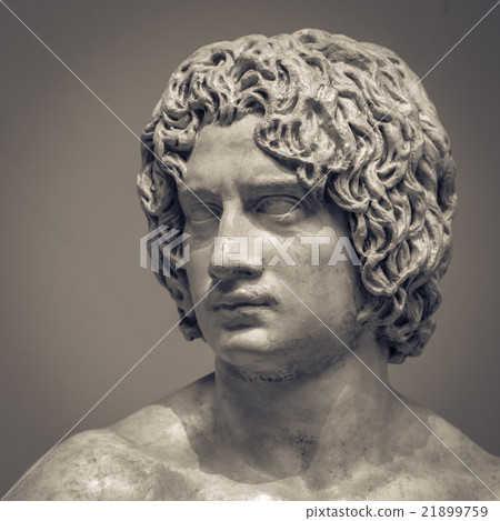 The ancient marble portrait bust The ancient marble portrait bust 21899759