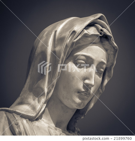 White marble head of young woman White marble head of young woman 21899760