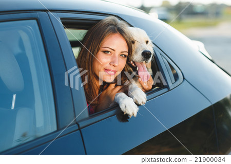 Woman and dog in car on summer travel 21900084
