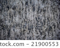 Concrete wall background 21900553