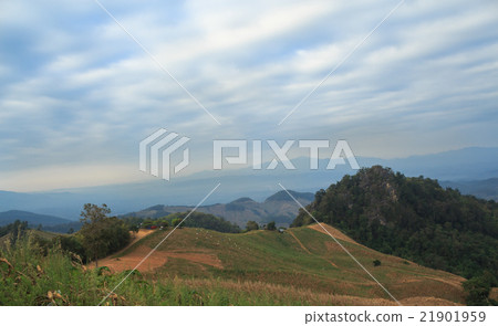 pastel meadow and mountains view, green natural 21901959