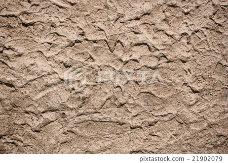 grunge cement wall texture or background grunge cement wall texture or background 21902079