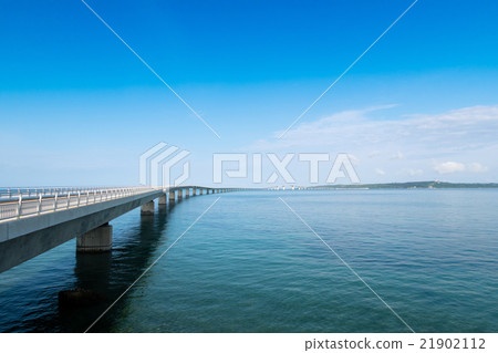 大橋橋 21902112