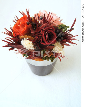 Picking chic roses (preserved flowers) 21902372