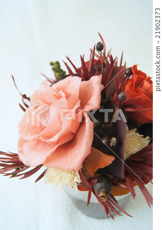 Picking chic roses (preserved flowers) 21902373