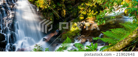 The actor's falls _ Okuzo Valley 21902648