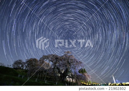 Miharu Taki櫻花和星星的軌跡 21902802