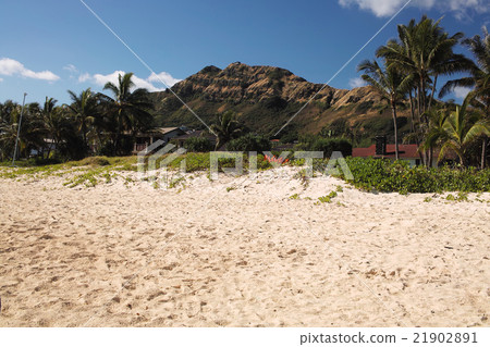 夏威夷Lanikai海灘山腰 21902891