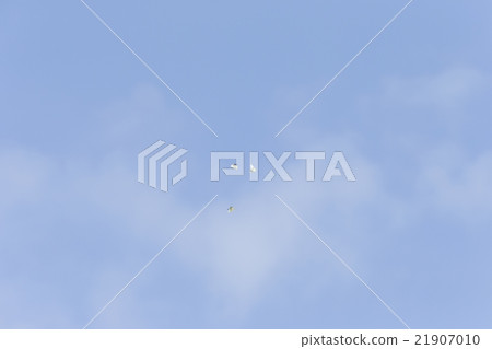 麥舞 麥舞 21907010