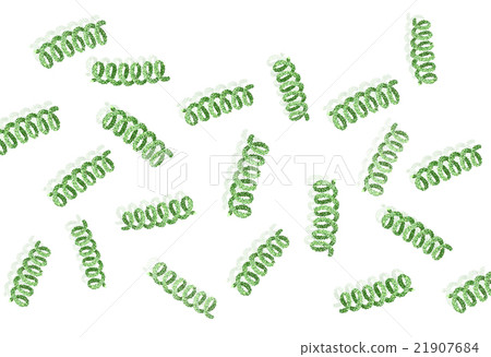 Spirulina image material Spirulina image material 21907684