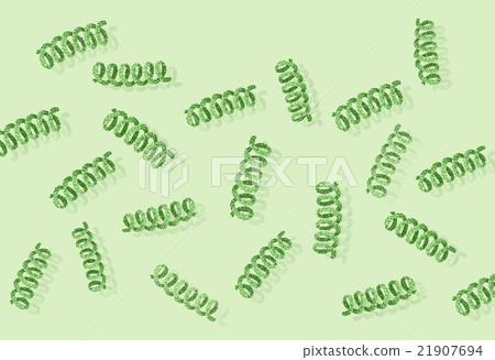 Spirulina image material Spirulina image material 21907694