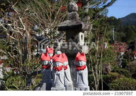 癌症Fujitera 21907897