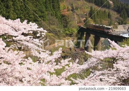 高山幹線 21909083