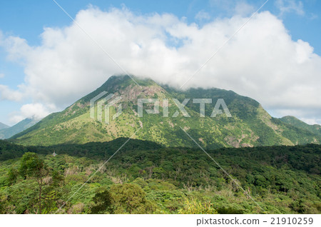 view of mountain and cloud in Hongkong 21910259
